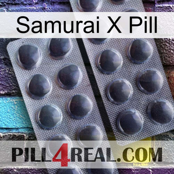 Samurai X Pill 31.jpg